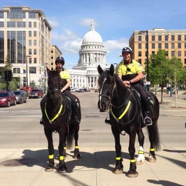 Madison Police Mounted Patrol Unit – 6th Annual Open House – Sunday, May 7th – 12 – 3 PM