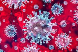 Coronavirus (COVID-19) Information on testing, staying healthy and the latest data